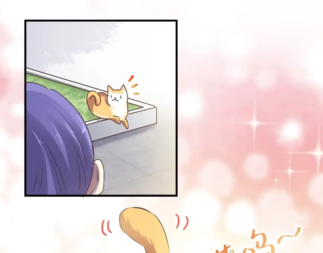 《赤色四叶草》第106话 野猫杀手（1） 第44页
