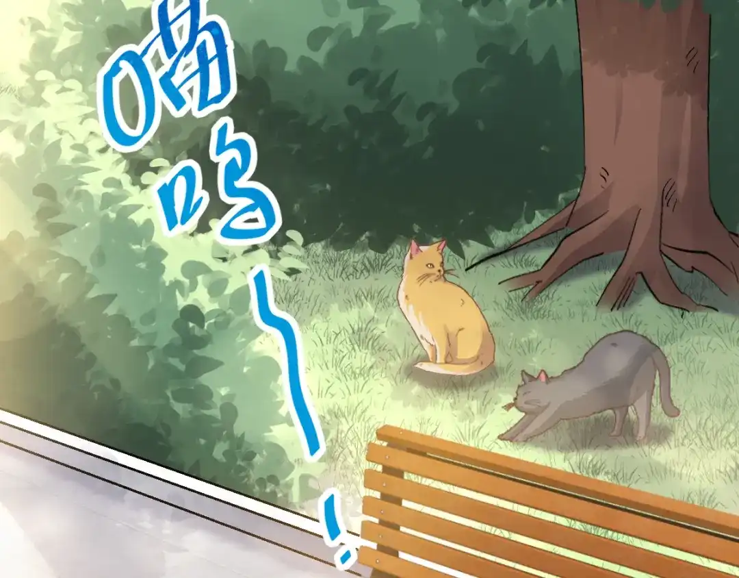 《赤色四叶草》第106话 野猫杀手（1） 第3页