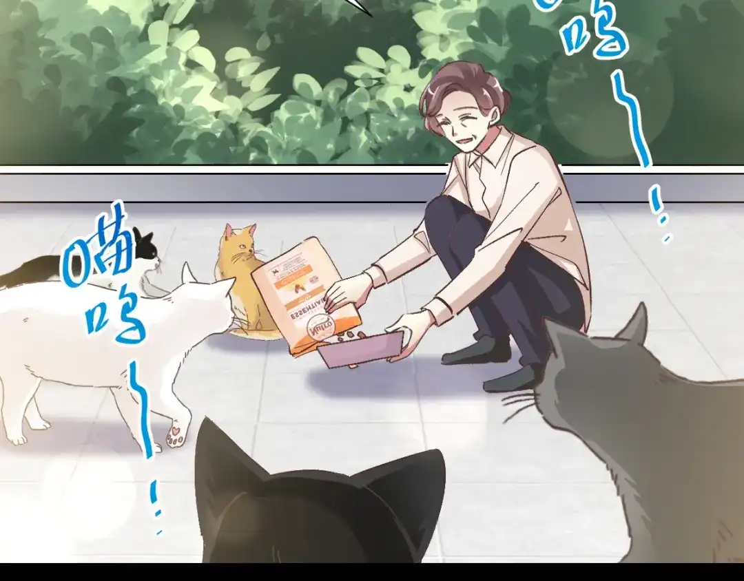 《赤色四叶草》第106话 野猫杀手（1） 第7页
