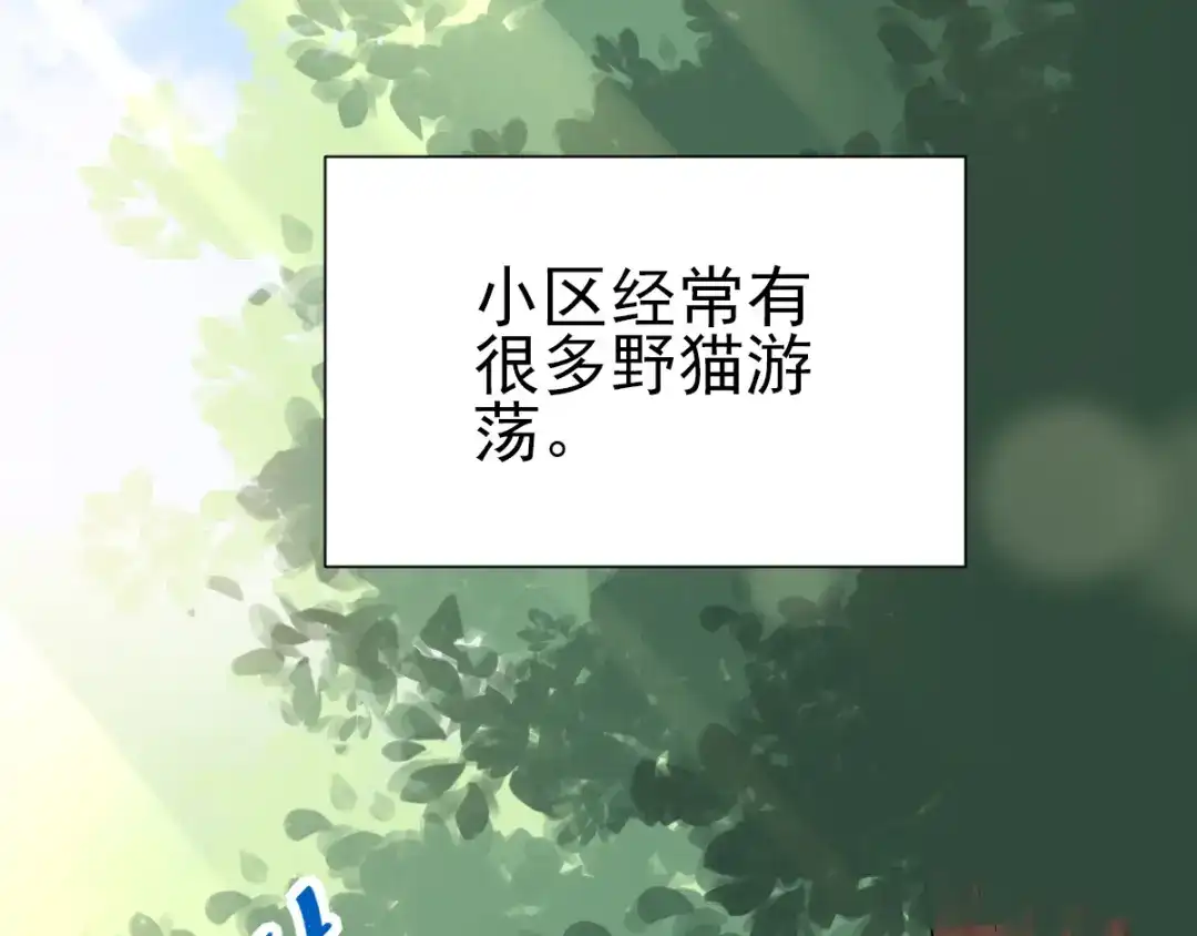 《赤色四叶草》第106话 野猫杀手（1） 第2页