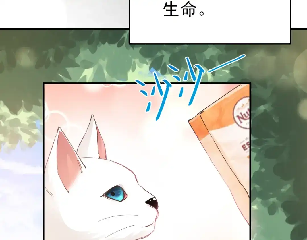 《赤色四叶草》第106话 野猫杀手（1） 第5页