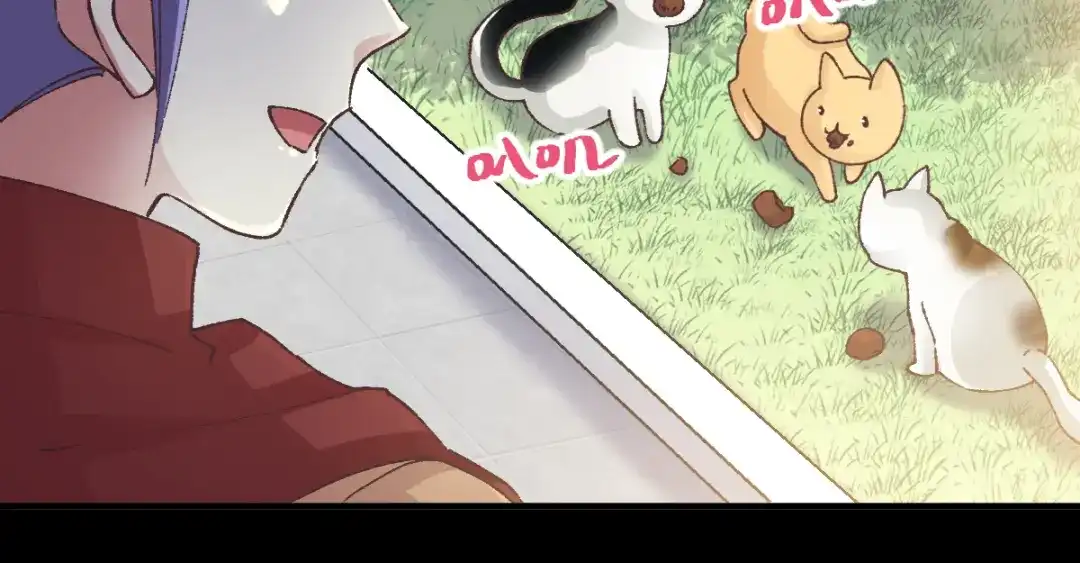 《赤色四叶草》第108话 野猫杀手（3） 第25页