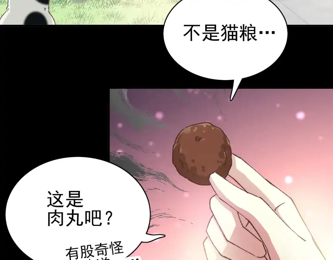 《赤色四叶草》第108话 野猫杀手（3） 第31页