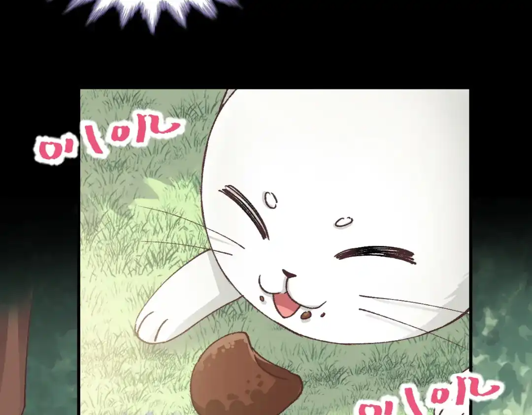 《赤色四叶草》第108话 野猫杀手（3） 第28页