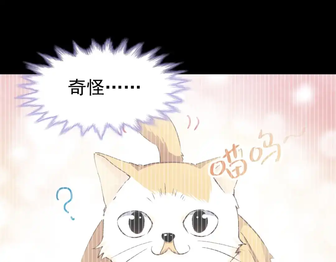 《赤色四叶草》第108话 野猫杀手（3） 第26页