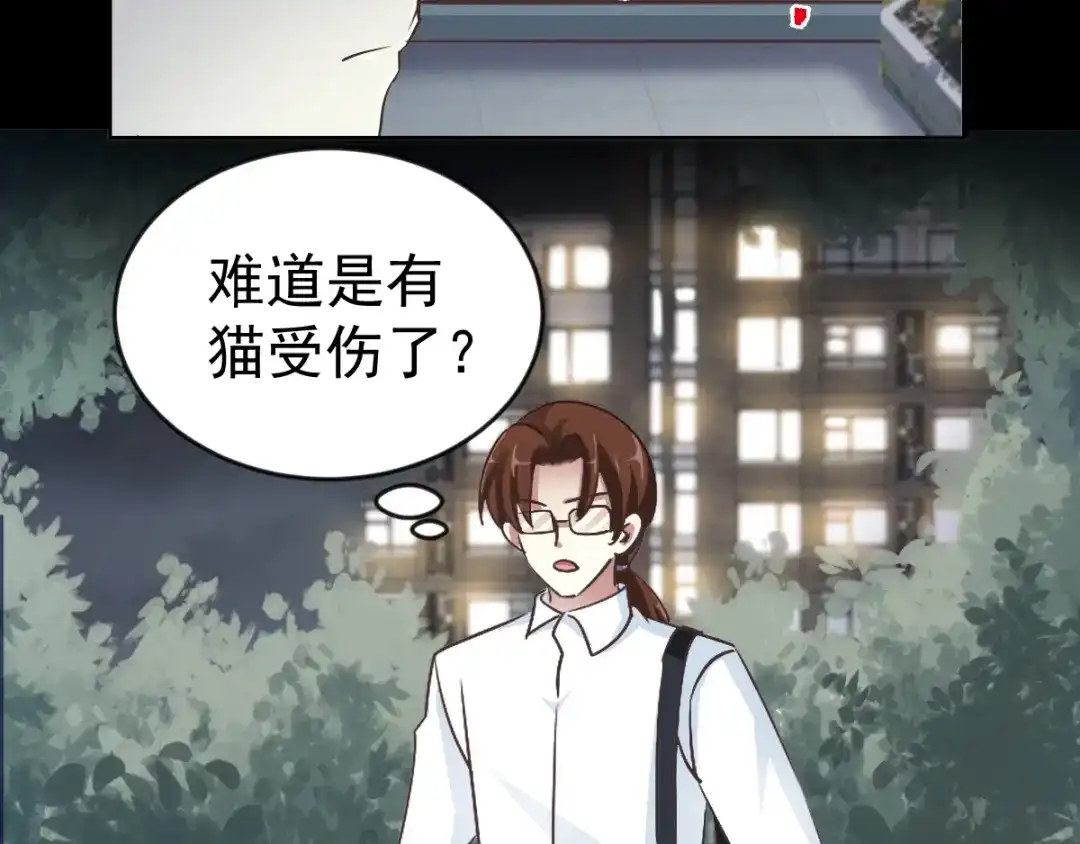 《赤色四叶草》第109话 野猫杀手（4） 第27页