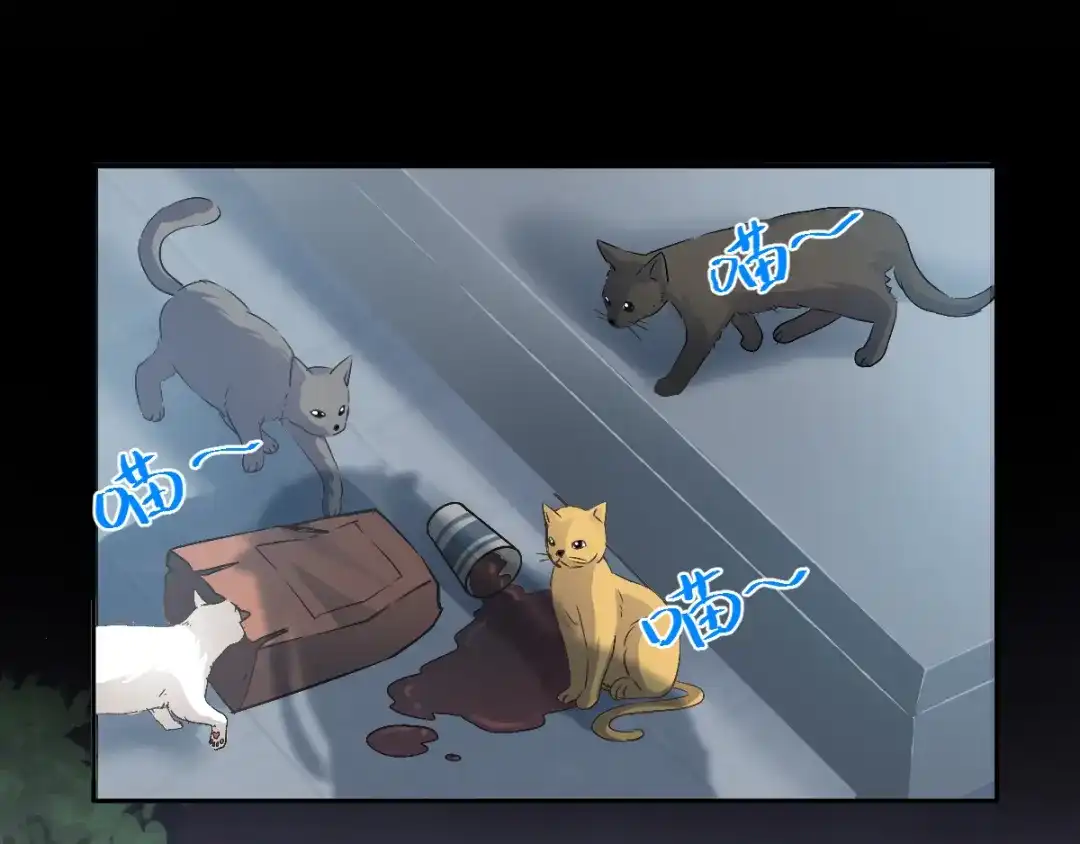 《赤色四叶草》第109话 野猫杀手（4） 第1页