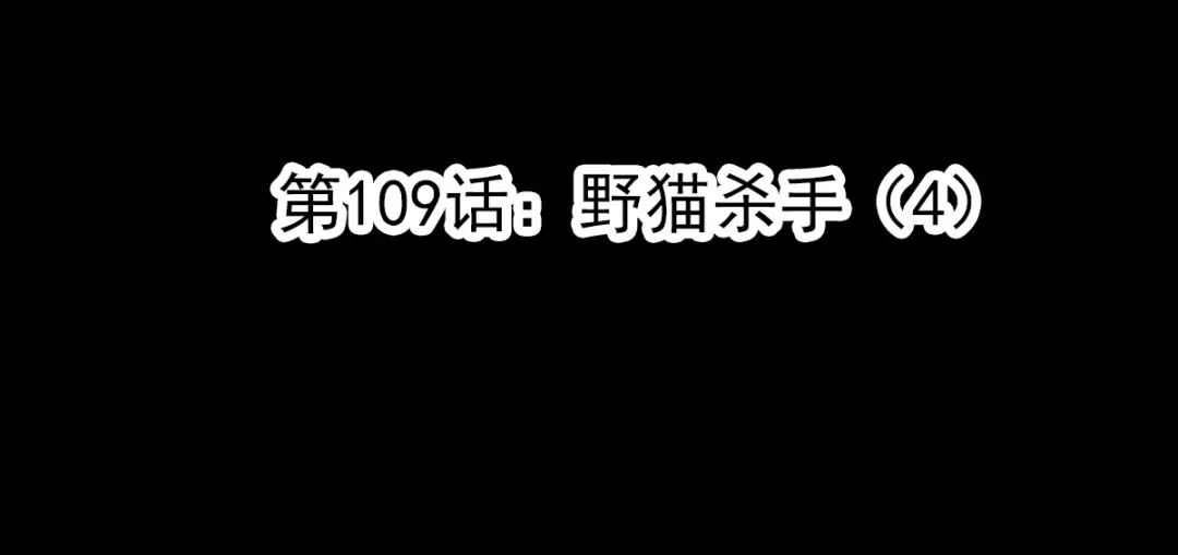 《赤色四叶草》第109话 野猫杀手（4） 第12页