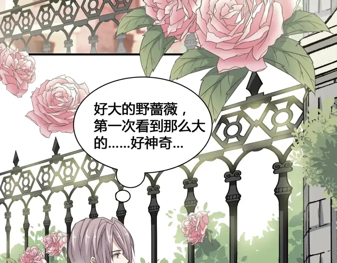 《赤色四叶草》第35话 野蔷薇物语（上） 第24页