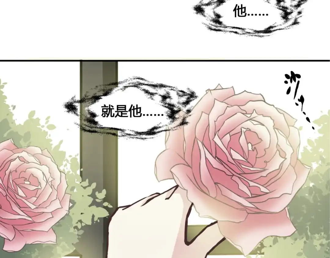 《赤色四叶草》第35话 野蔷薇物语（上） 第41页
