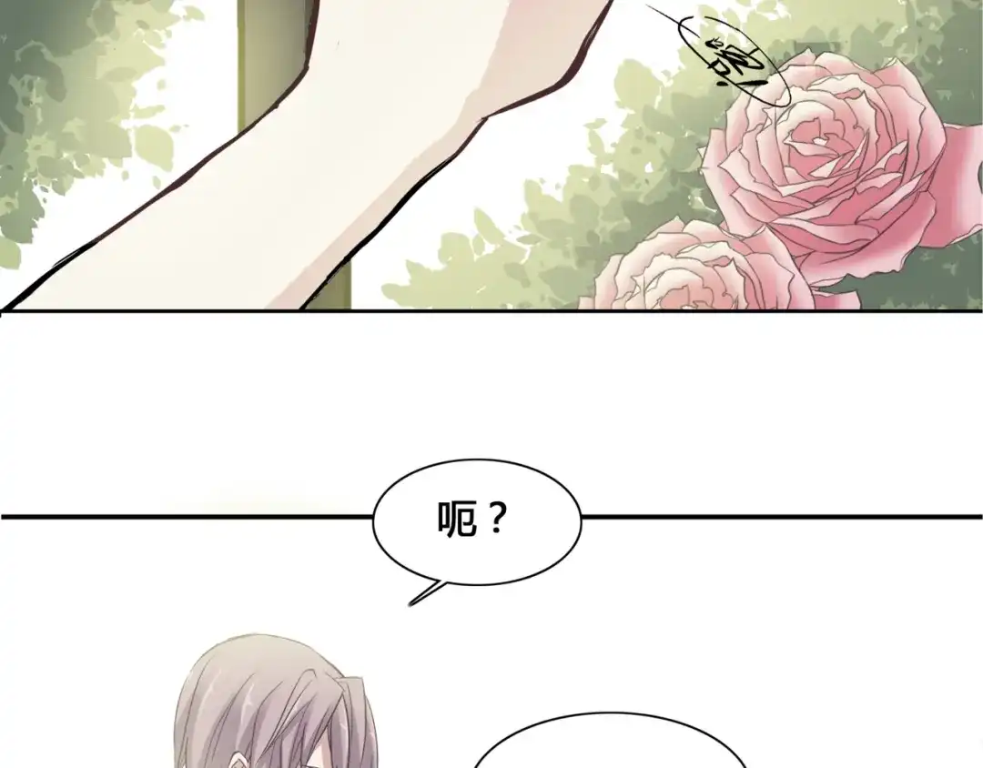 《赤色四叶草》第35话 野蔷薇物语（上） 第42页