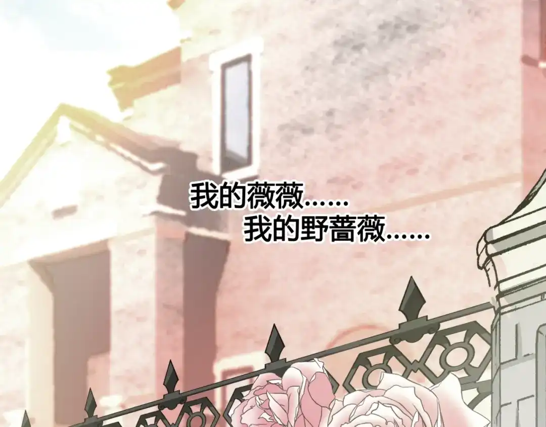 《赤色四叶草》第35话 野蔷薇物语（上） 第23页