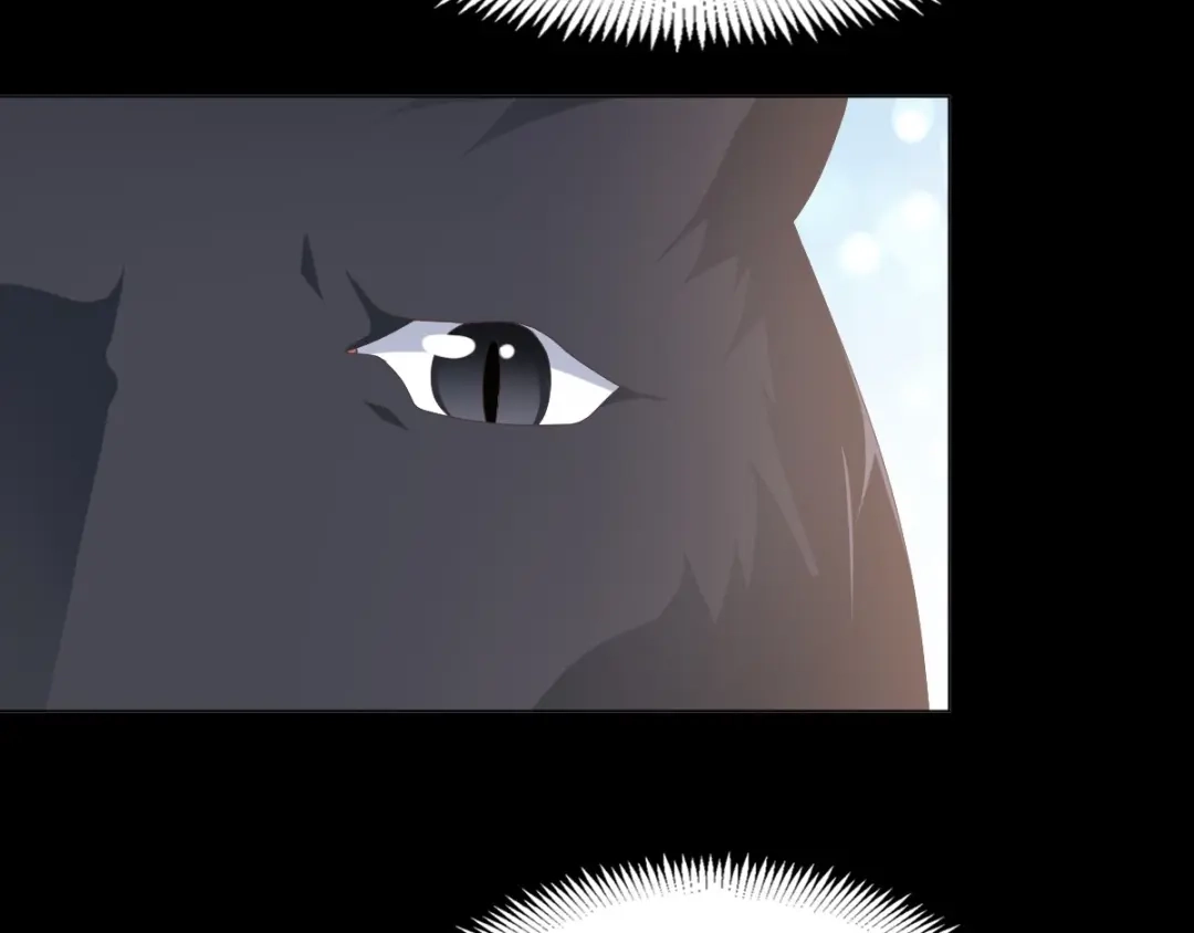 《赤色四叶草》第75话 黑狼的选择（上） 第136页