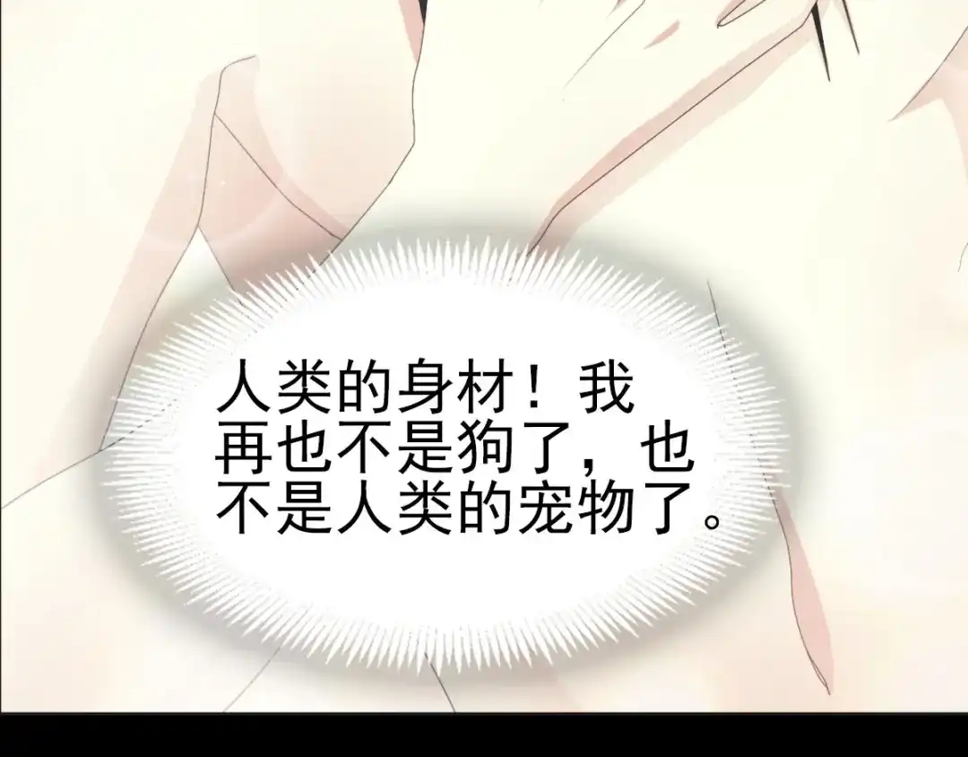 《赤色四叶草》第75话 黑狼的选择（上） 第6页