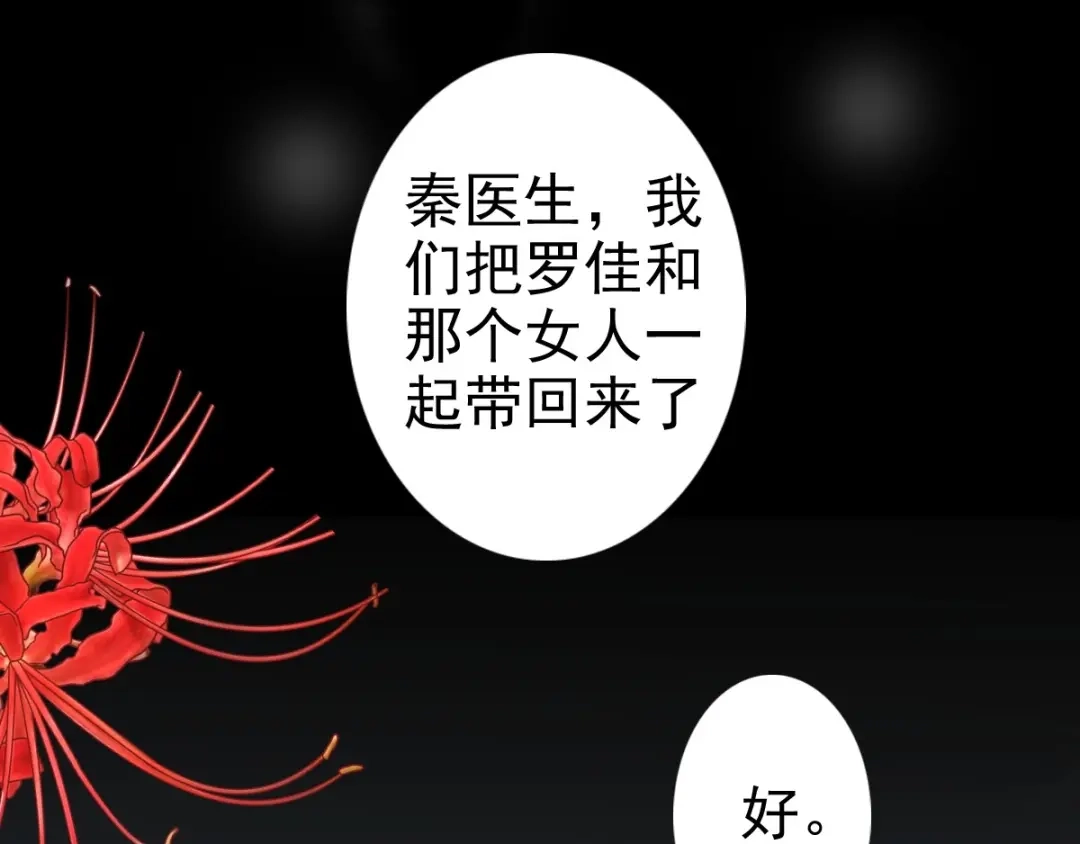 《赤色四叶草》第81话 红女王的预言 第40页