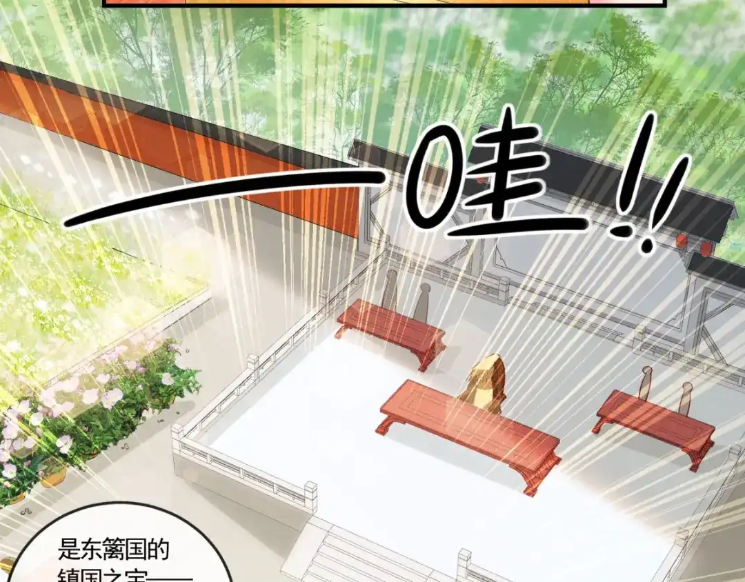 《痴傻毒妃不好惹》第108话 皇家儿媳！ 第13页