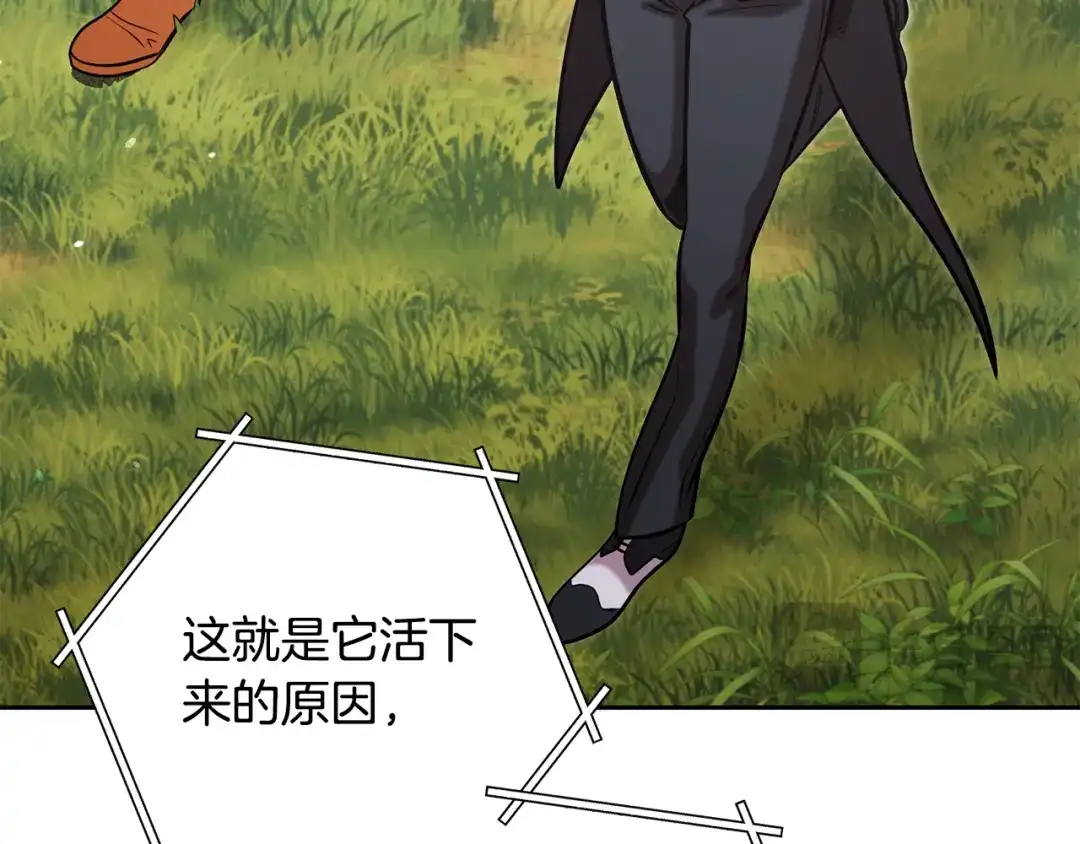 重启地下城 第264话 该回去了 第289页