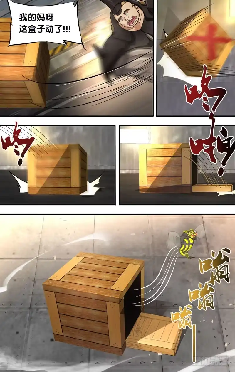 《虫生》12.蜣螂 第11页