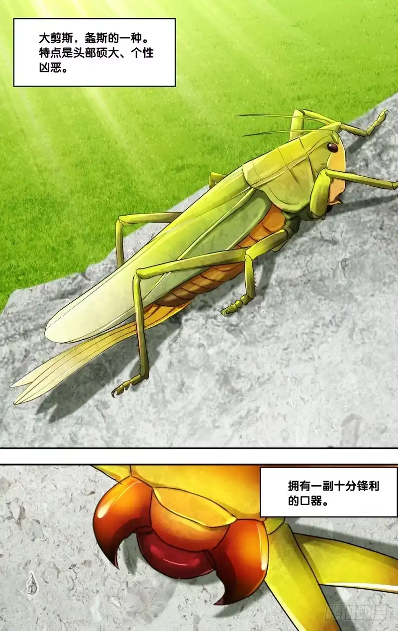 《虫生》134.大剪斯 第11页