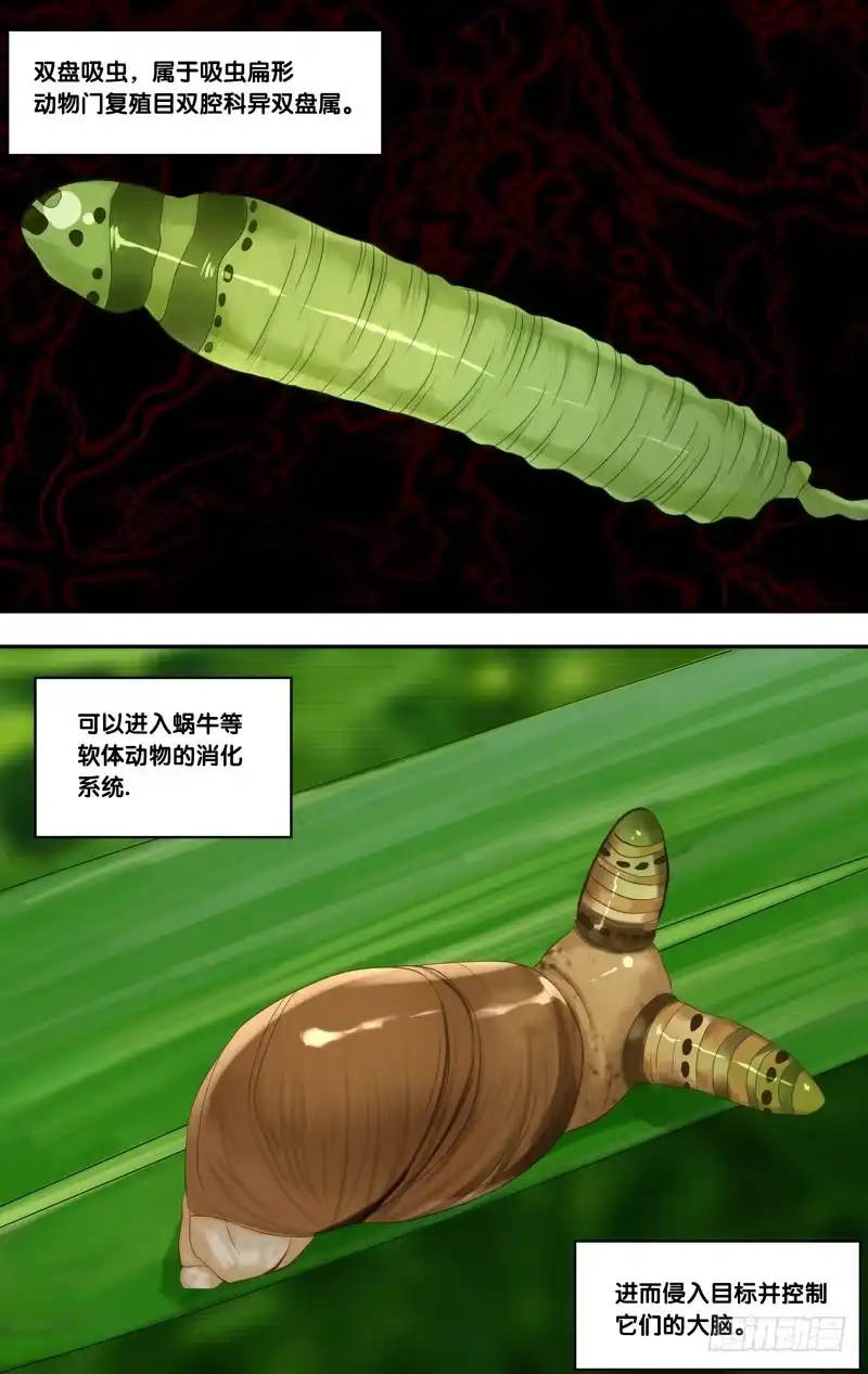 《虫生》142.异变 第13页