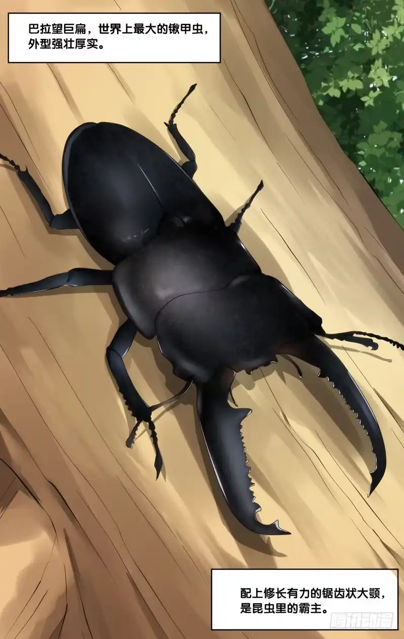《虫生》152.胖爷 第10页