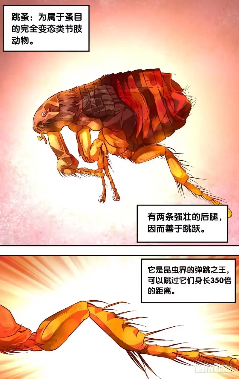 《虫生》17.辗压 第5页