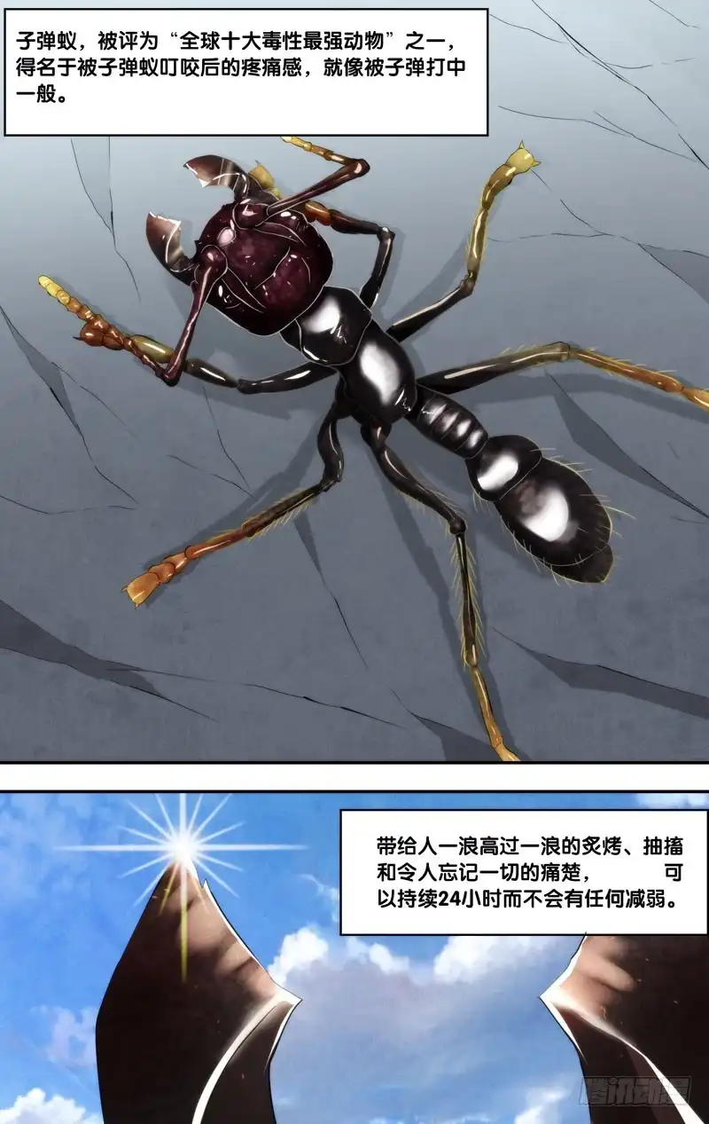 《虫生》170.独角仙 第9页