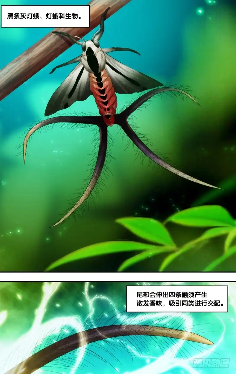 《虫生》199.香水味 第11页