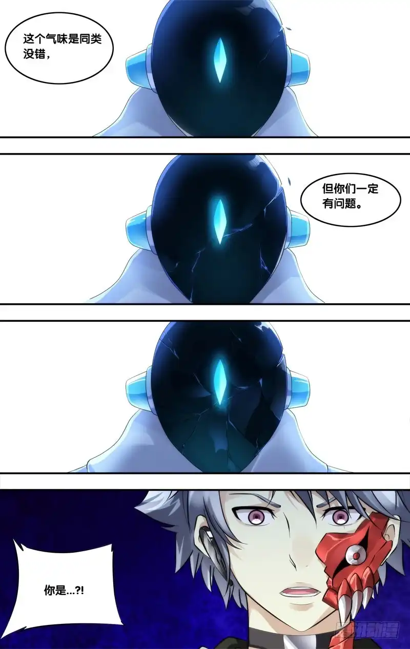 《虫生》221.蜘蛛 第4页