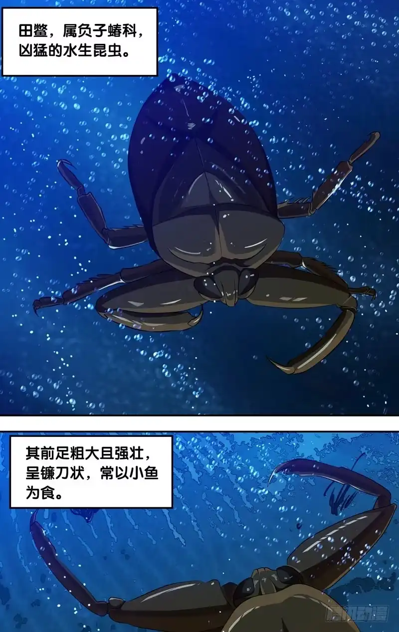 《虫生》29.田鳖 第9页