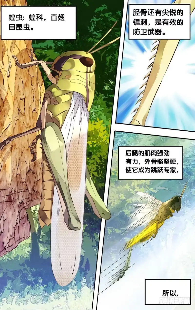 《虫生》3.蝗 第2页