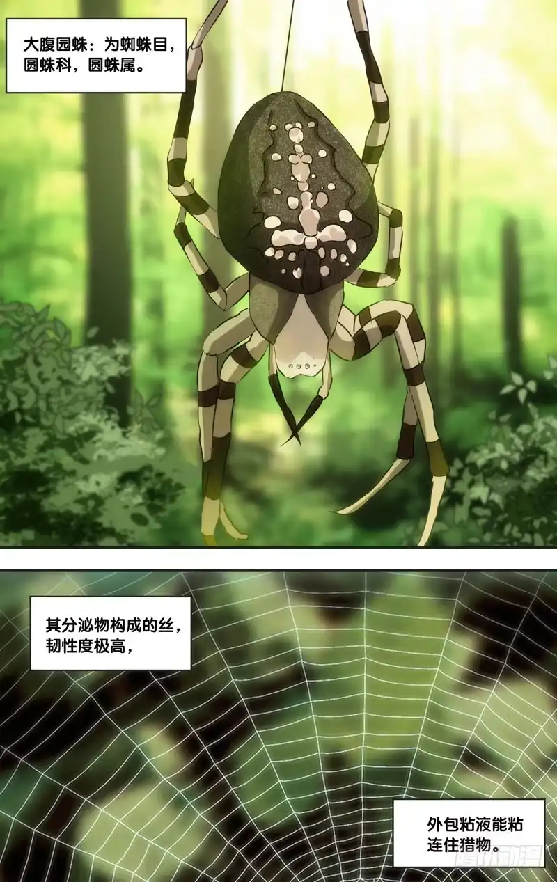 《虫生》44.蛛 第6页
