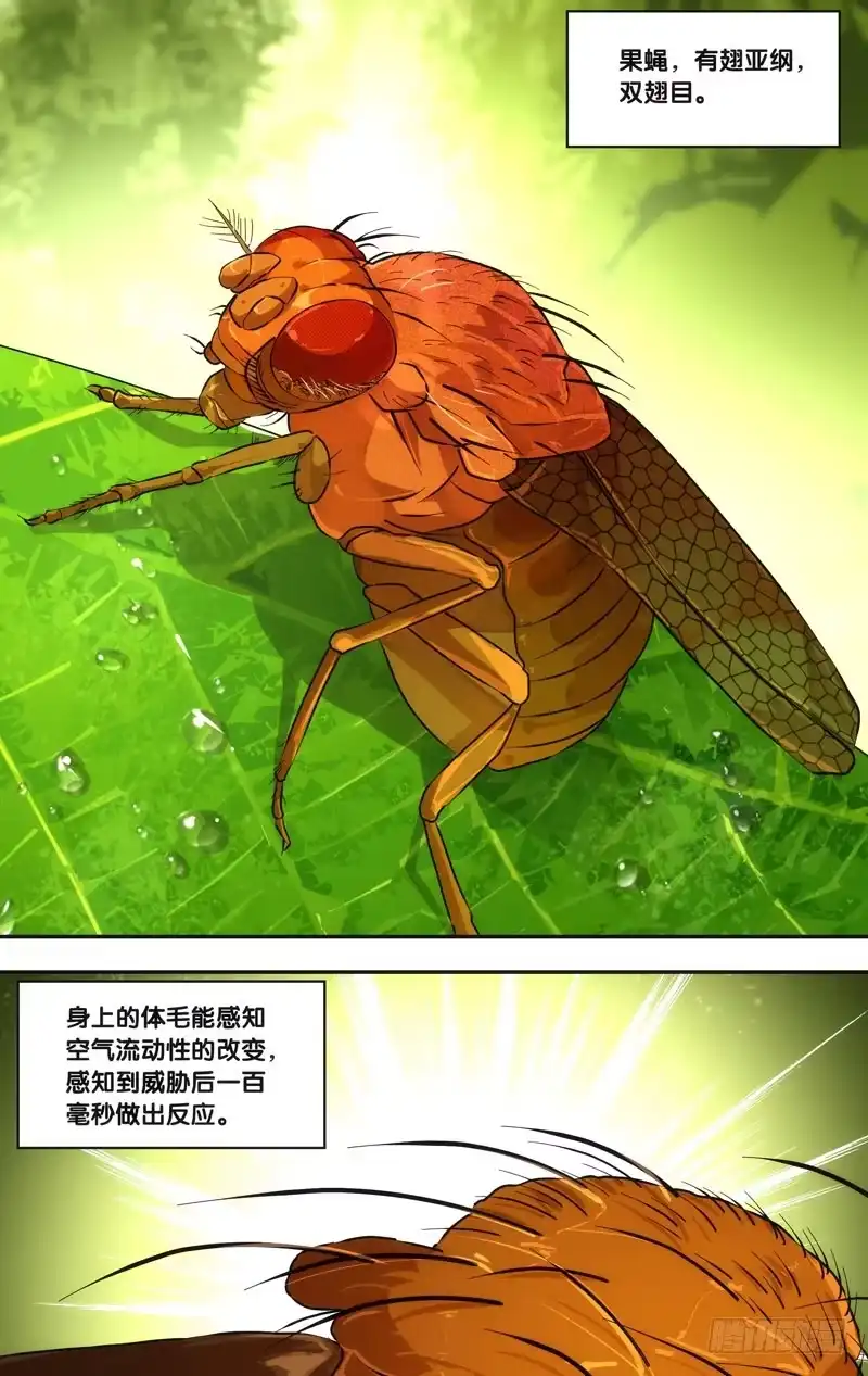 《虫生》46.追击 第11页
