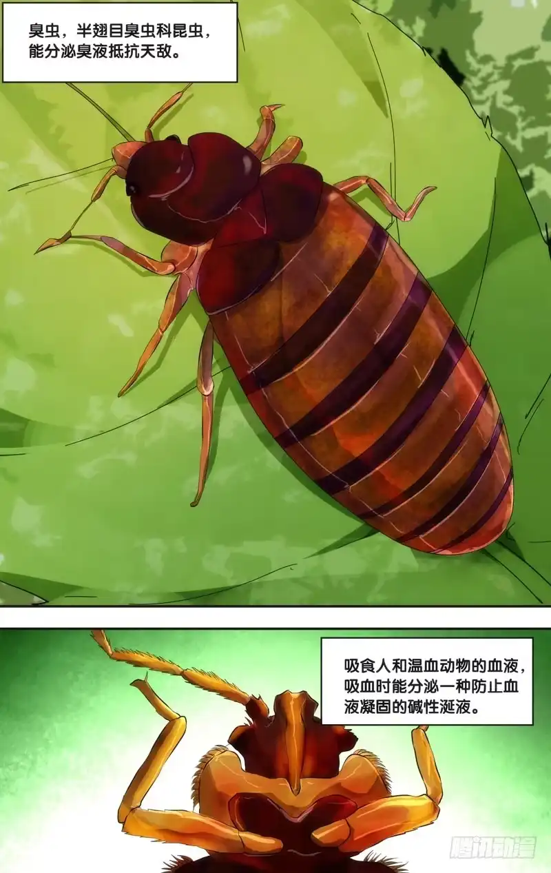《虫生》49.胜负 第9页