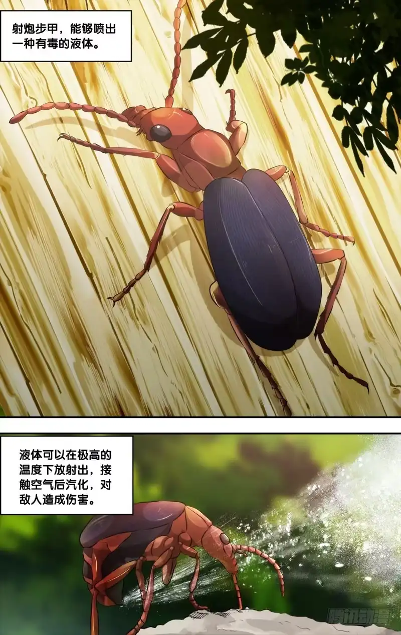 《虫生》55.射炮步甲 第1页
