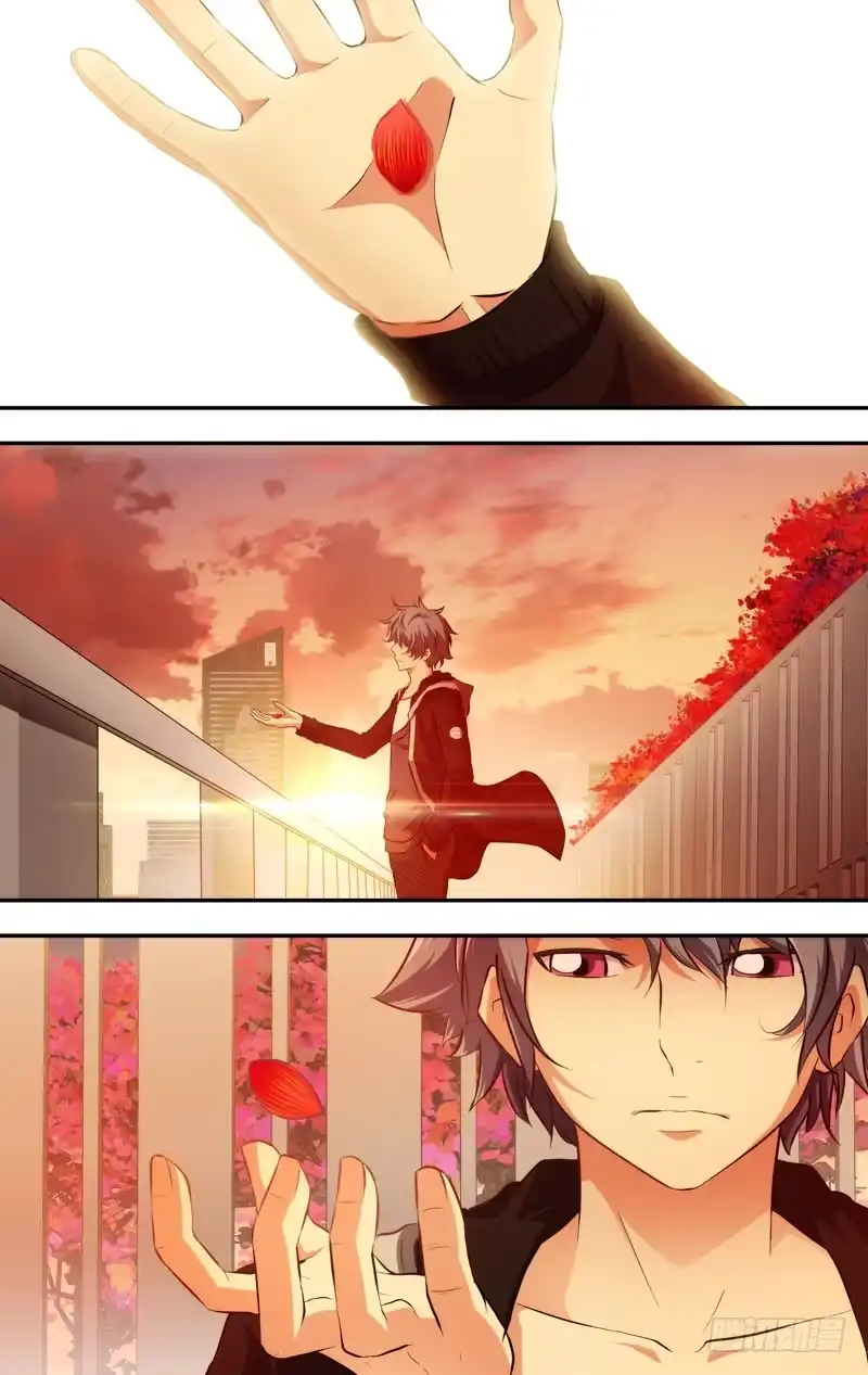 《虫生》66.一片花瓣 第9页