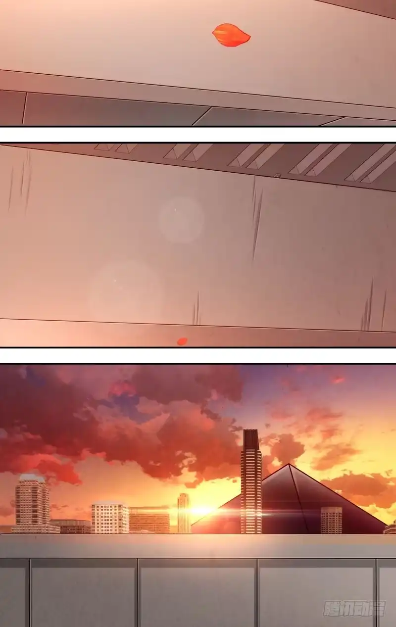 《虫生》67.木棉 第10页