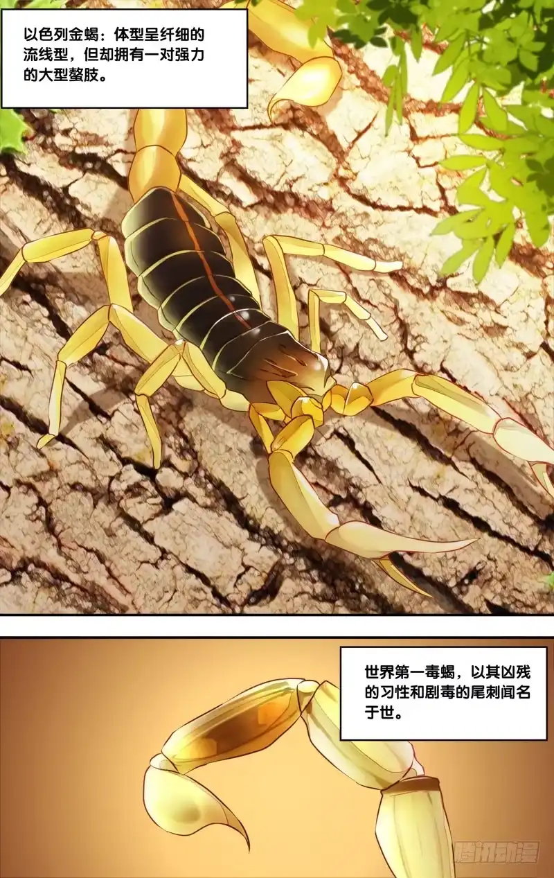 《虫生》78.游戏结束 第7页
