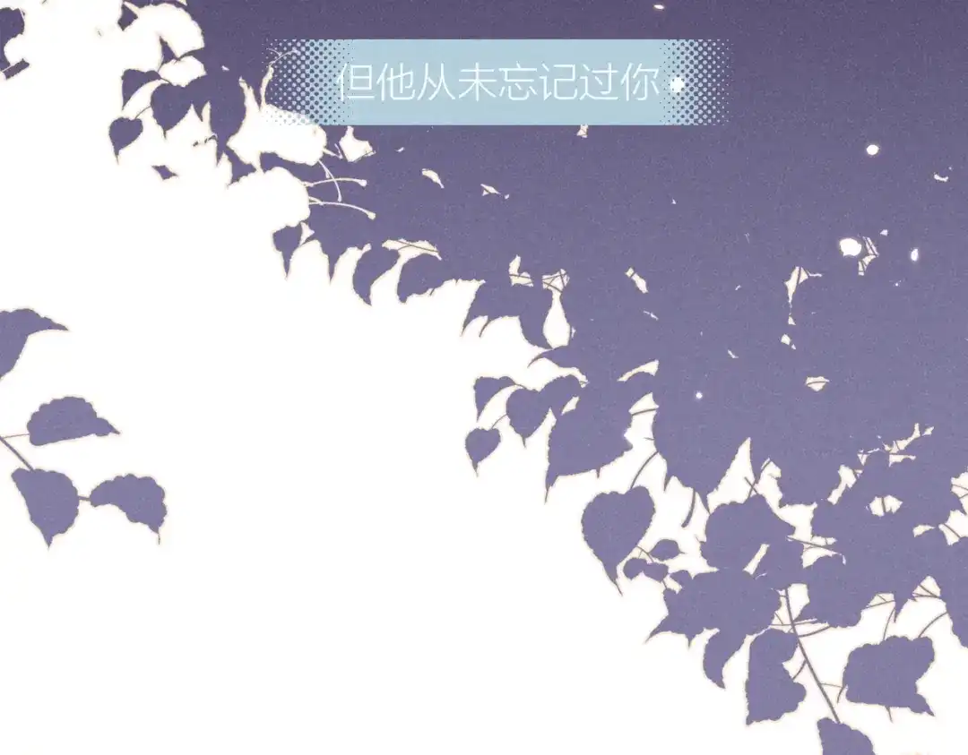 《重生成恋人的死对头怎么办》完结篇 再也不分黎 第64页