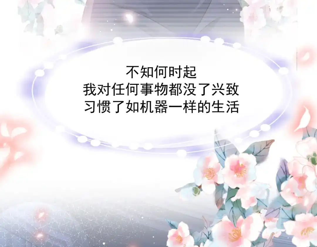 《重生成血族总裁的小甜点》013打得就是你的脸 第24页