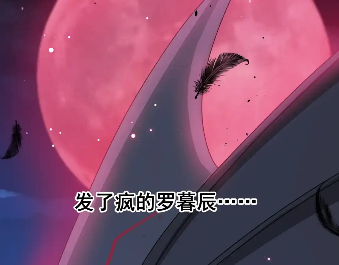 《重生成血族总裁的小甜点》022为她定制 第74页