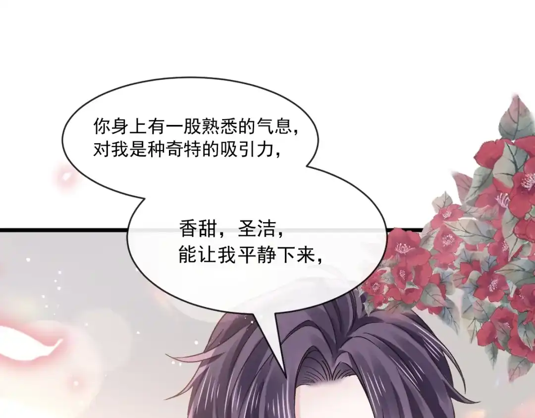 《重生成血族总裁的小甜点》024 我的吸血鬼总裁 第44页