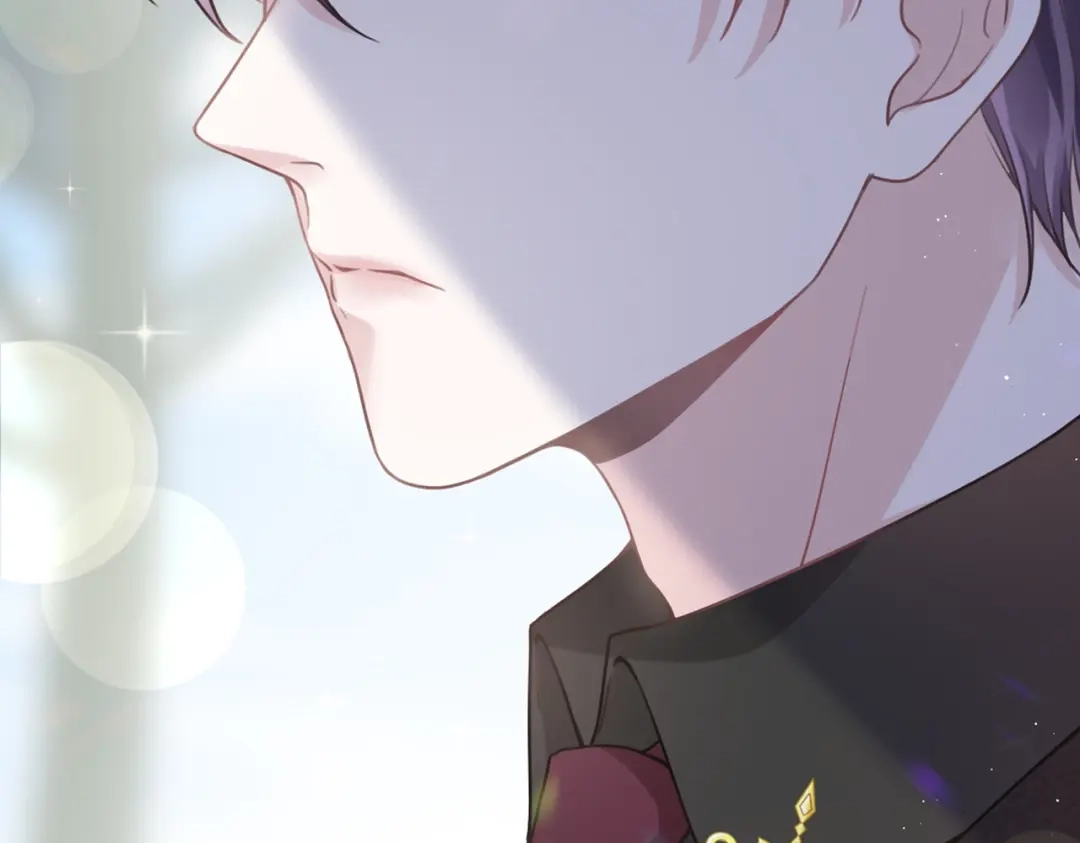 《重生成血族总裁的小甜点》002 神秘的男人 第2页