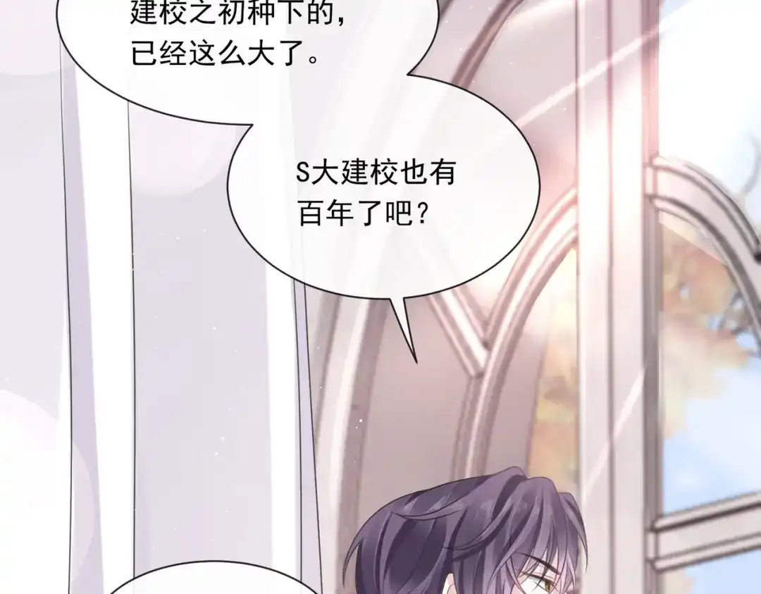 《重生成血族总裁的小甜点》002 神秘的男人 第56页