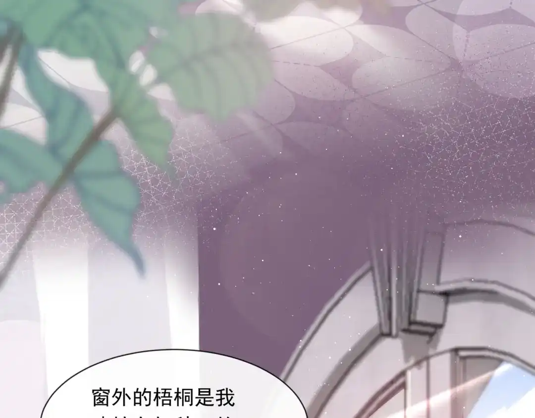 《重生成血族总裁的小甜点》002 神秘的男人 第55页