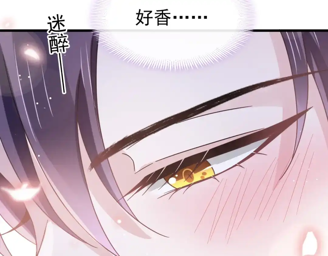 《重生成血族总裁的小甜点》031 她的体香 第51页