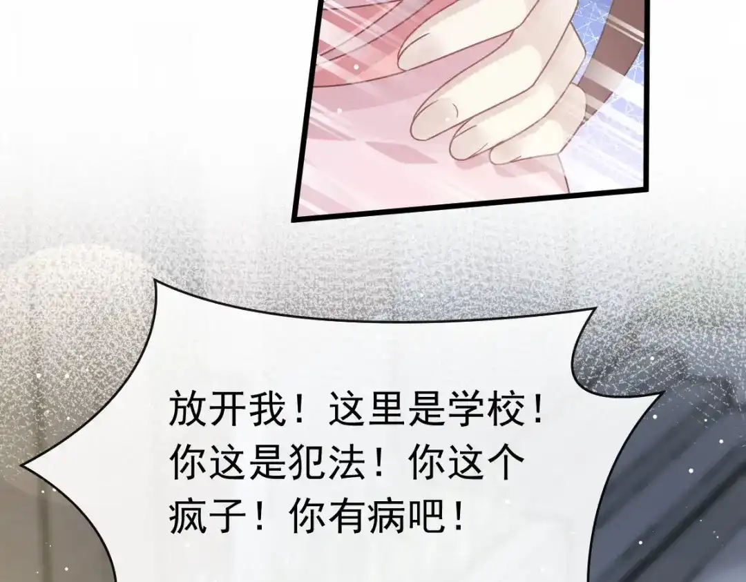 《重生成血族总裁的小甜点》046 该收拾她们了 第89页