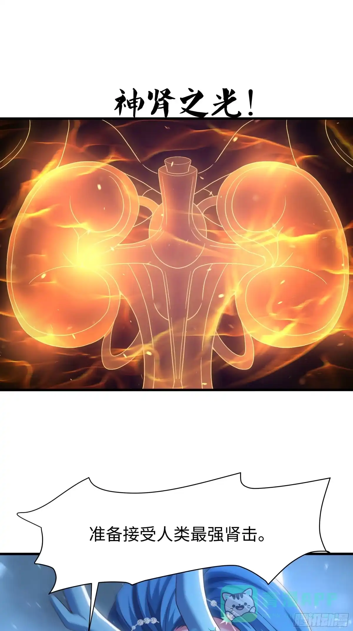 46.jpg