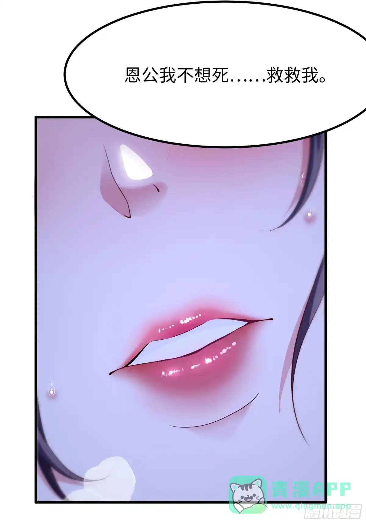 26.jpg