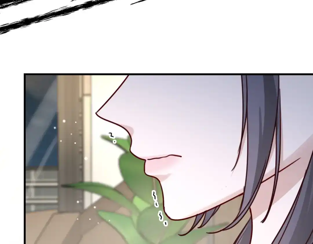 《重生后我嫁给了渣男的死对头》014 生日宴 第39页